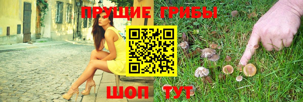 Канабис  Россия  APVP СК кристаллы  Гашиш  Мефедрон кристаллы  Вход с VPN  ГАШИШ  МАРИХУАНА  Меф МЯУ МЯУ 