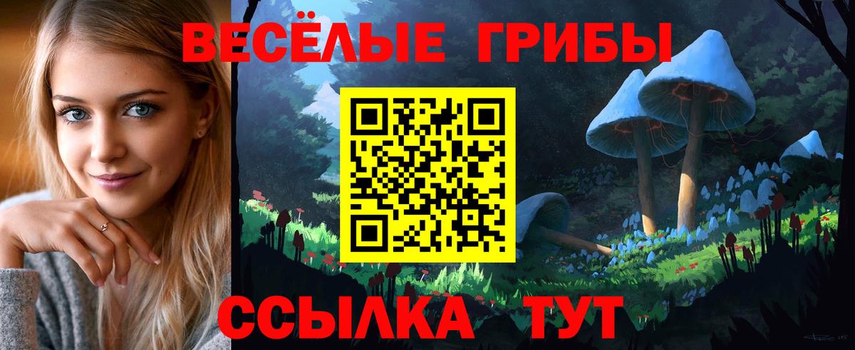 Псилоцибиновые грибы мухоморы  Вход с VPN  Россия  Псилоцибиновые грибы MAGIC MUSHROOMS 